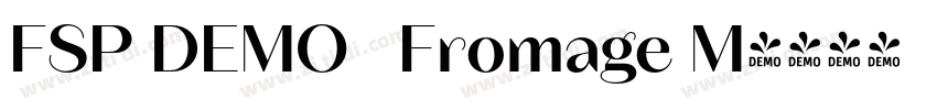 FSP DEMO   Fromage M字体转换